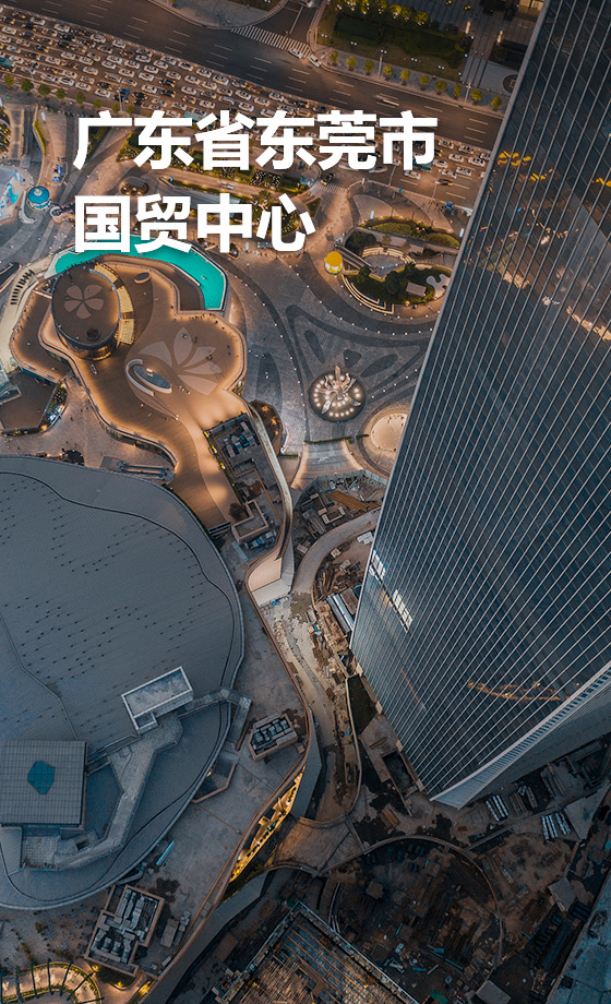 廣東省東莞市國貿中心